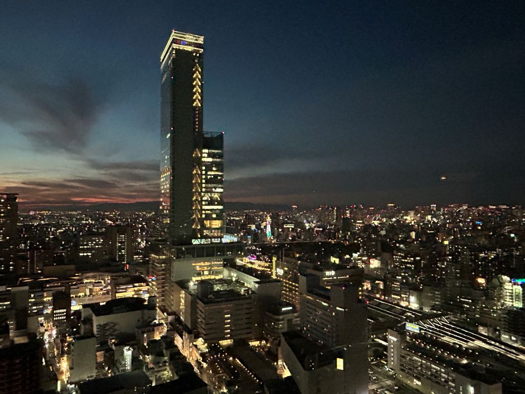 大阪市阿倍野区タワーマンションリノベーションー夜の眺望
