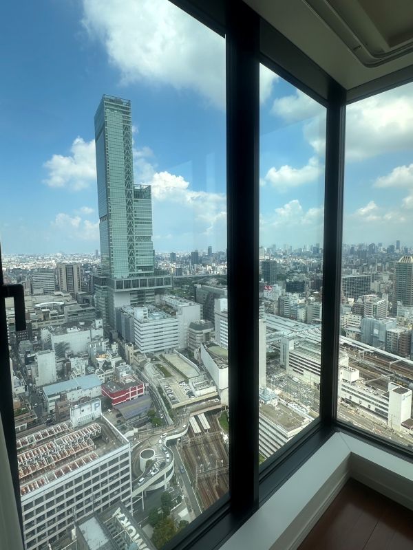 大阪市阿倍野区タワーマンションリノベーションー眺望
