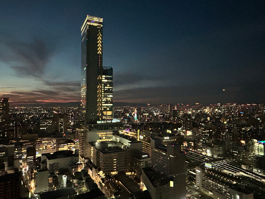 築19年阿倍野タワーマンション夜景